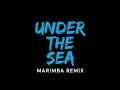 Download Lagu Disney - Under the Sea (Marimba Remix) Marimba Remix Ringtone - iRingtones [Download]
