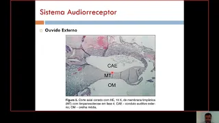 (Semestre 3C) Aula 03 - Sistema Audiorreceptor