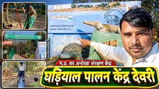 घड़ियाल पालन केंद्र देवरी की शानदार सैर 🐊  MP का अनोखा संरक्षण केंद्र  Neeraj Kaim Vlogs