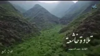 سورة الزمر    تلاوه خاشعه    القارئ عمر الدريويز دندنها
