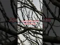 Download Lagu HAMPA - ARI LASSO (lirik)