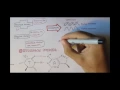 DNA - Forces maintaining structure