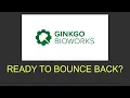 Can Ginko Bioworks stock recover A DNA chart analysis