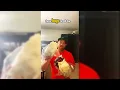 Lion s Mane on Grain-Free 3-Layer All-in-One Super Bags - Ultimate Grow Test