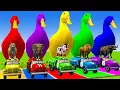 Download Lagu Long Slide Game With Cow Elephant Gorilla Hippopotamus Tiger 3d Animal Game Funny 3d Animals