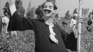 اغنية ياقطن مصر من فيلم خضرة والسندباد القبلي 