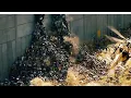 Train To Busan 3 Redemption Full Movie || Zombie Full Movie