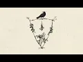 Download Lagu Society of Villains - Good \u0026 Evil [Official Audio]