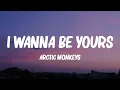 Lagu Arctic Monkeys - I Wanna Be Yours (Lyrics)
