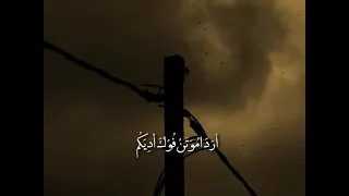 انطوني راي شلون بله مسلم الوائلي دندنها