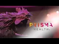 Prisma Health - Healthcare System and Team Physicians of the Gamecocks