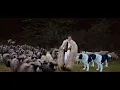 Download Lagu Ionut Nemes - Boala oilor 🐏 (Official Music Video)💙💛❤️
