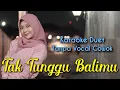 Download Lagu Tak Tunggu Balimu Karaoke Tanpa Vocal Cowok || Re-upload Voc. Mintul