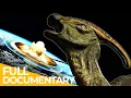 Download Lagu The Last Day of the Dinosaurs | FD Ancient History