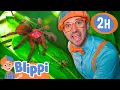 Blippi Explores A Spider Playground Blippi and Meekah Best Friend Adventures Educational