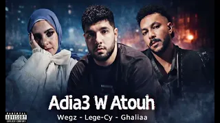ويجز وليجي سي وغاليه  اضيع واتوه   دندنها