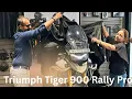 Download Lagu New bikes delivery for GD || Triumph Tiger 900 Rally Pro