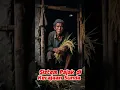 43# Sistem Pajak di Kerajaan Sunda || Kunci Kejayaan Pajajaran