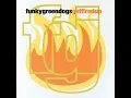 Fired Up! - Funky Green Dogs