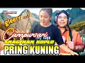 Lagu Campursari Sragenan Koplo ~ PRING KUNING || Cover Lagu + text Lirik BASS glerr