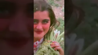 ورده سكيتها من دمع الجفون ستوريات منوعه ستوريات بدون حقوق ستوريات انستا حالات واتساب 