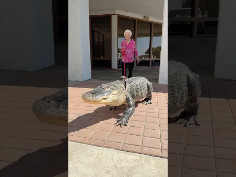 Granny Mistakes Her Dog For An Alligator! 😱🐊