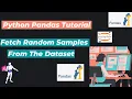 42 How to Fetch Random Samples From The Dataset