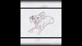 اغتية الكلبة من أغنيات الدعابة عثمان اليمني 