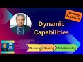 Why Great Firms Adapt Teece s Dynamic Capabilities in 8 Minutes