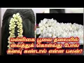 Download Lagu மல்லிகை பூவை தலையில் வைத்துக் கொள்வது போல் கனவு கண்டால் என்ன பலன்?