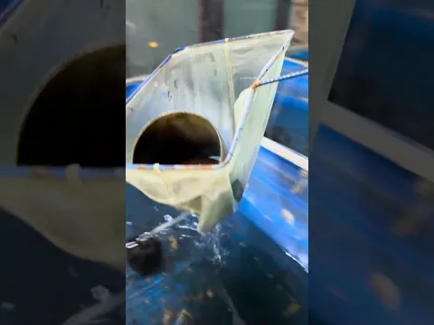 കൂട്ടുകാരനെ കൊന്ന കൊലയാളി...😂 | pink giant gourami new home | giant gourami | monster fish | channa