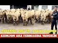106 BOSH AVLIKOL BUQACHALA SOTILADI AZIM AKA FERMASI 1-QO’L OPTOM YANGI PARTIYA KELDI