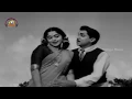 Download Lagu Chitapata Chinukulu Songs | Parugulu Theese Nee Video Song | Aatma Balam Telugu Movie | ANR