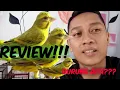 Download Lagu Review Mozken (Mozambik x Kenari)