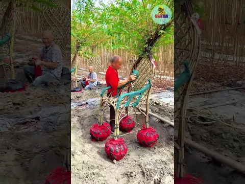 plant chair 😱😯