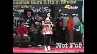 Download EDAN TURUN - NEW BINTANG 9 DANGDUT KOPLO MP3