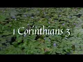 1 Corinthians 3