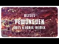 Download Lagu Ulises - Pewünguen (Coss \u0026 Iorie Remix)
