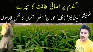 Magnesium, Manganese, Iron, Zinc, Boron, Sulphur foliar spray on Wheat Crop |Micronutrients spray