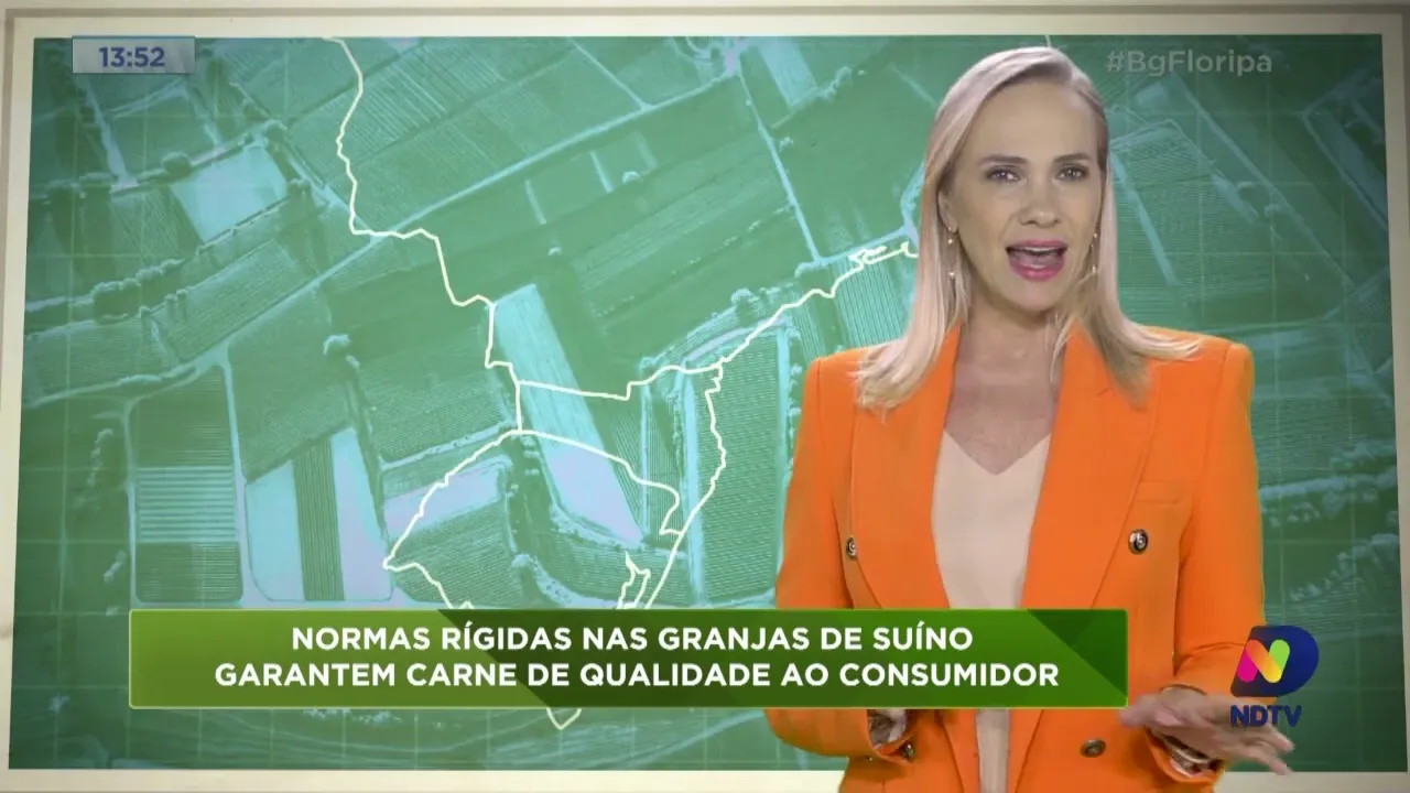 Normas rígidas nas granjas de suíno garantem carne de qualidade ao consumidor