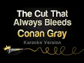 Download Lagu Conan Gray - The Cut That Always Bleeds (Karaoke Version)