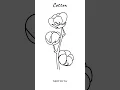 Step by Step Cotton Plant Drawing