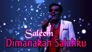 saleem dimanakah salahku video lirik