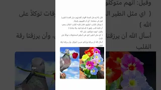 اللهم قلب كقلب الطير 