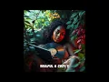 Sinke Fresh - Soulful & Cozy 2