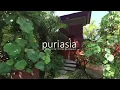 Lagu VILLA BAYU GITA RESIDENCE - Luxury villa in Bali for Rent