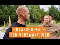 Download Lagu We krijgen weer bezoek in onze tuin..?!