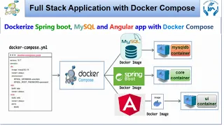 Docker Compose Tutorial for beginners Dockerize Spring boot MySQL and Angular with Docker Compose
