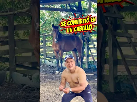 SE CONVIRTIÓ EN CABALLO # #viral #shorts