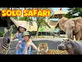 Solo Safari | Taman Safari Solo